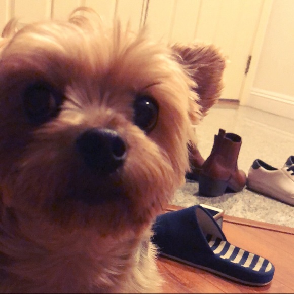 shirleyyhy